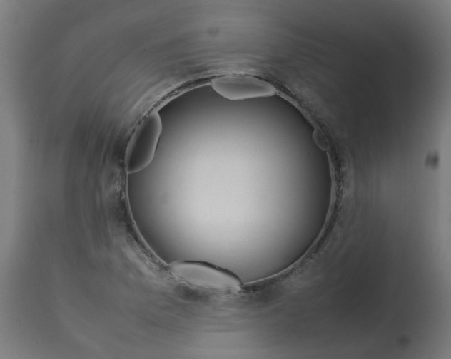 X0000113211169200910081309