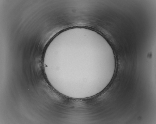 X0000113211170200910081309