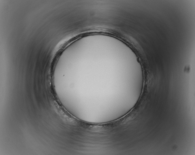 X0000113211172200910081309