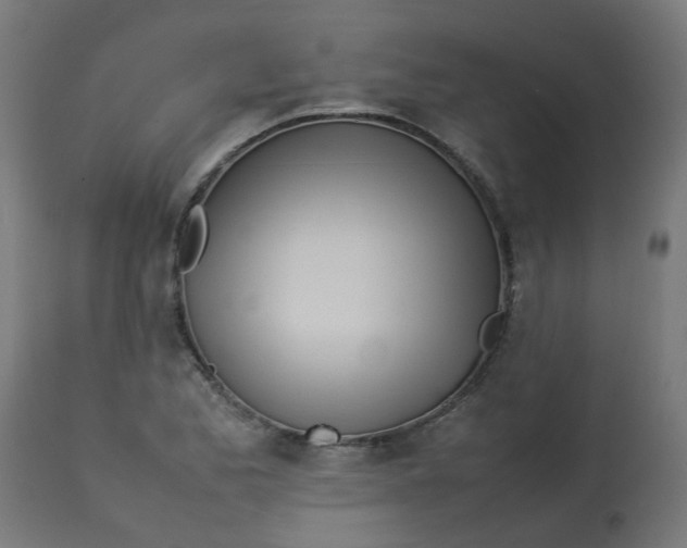 X0000113211173200910081309