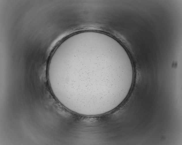 X0000113211174200910081309