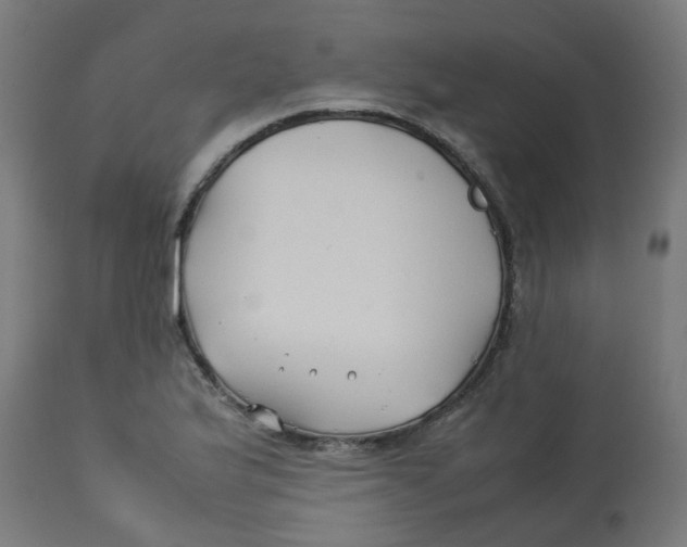 X0000113211175200910081309