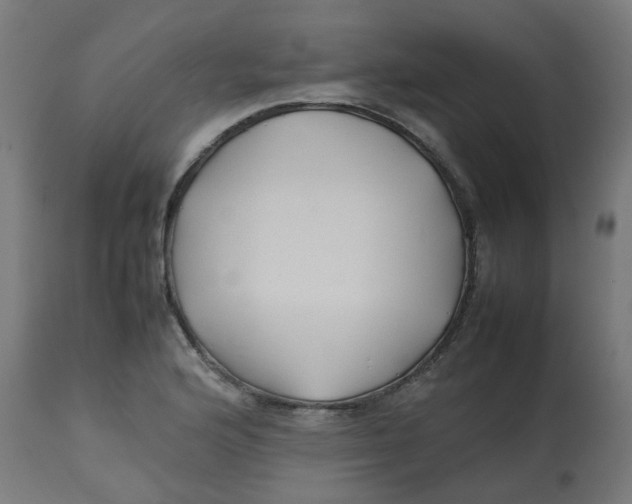 X0000113211176200910081309