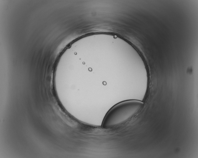 X0000113211179200910081309