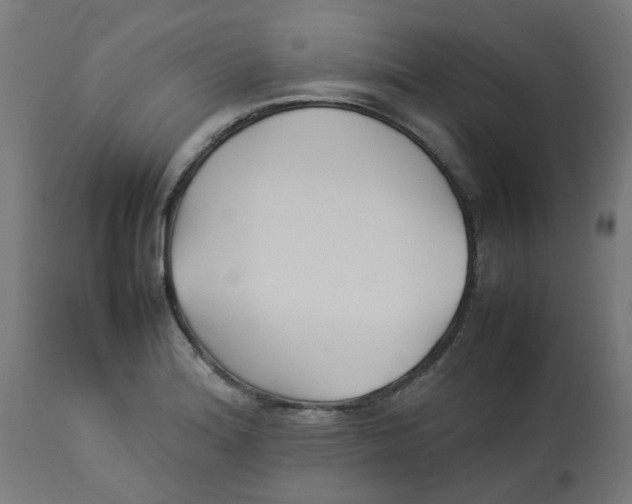 X0000113211180200910081309