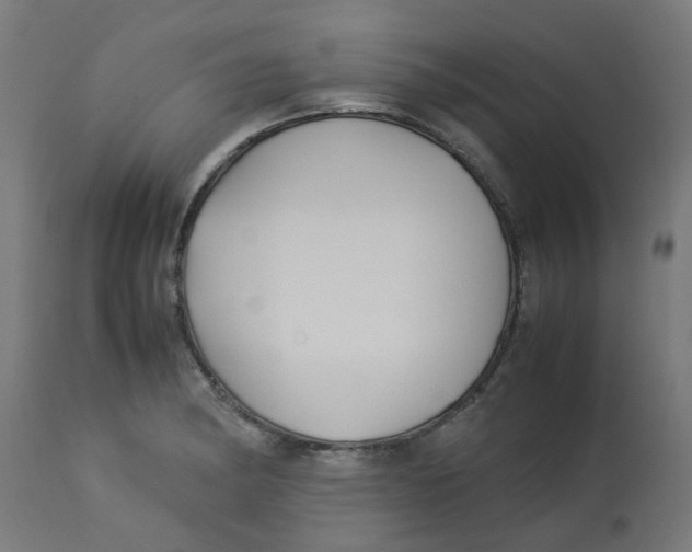 X0000113211182200910081309