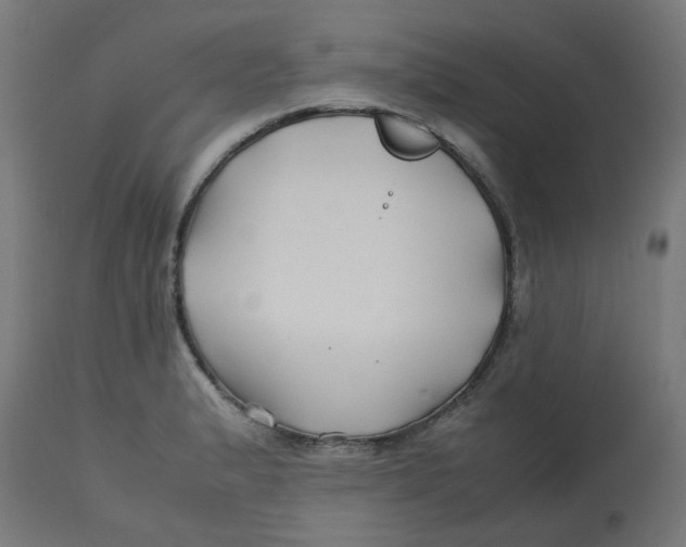 X0000113211183200910081309