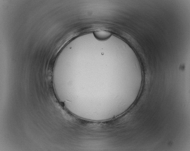 X0000113211185200910081309