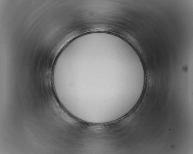 X0000113211186200910081309