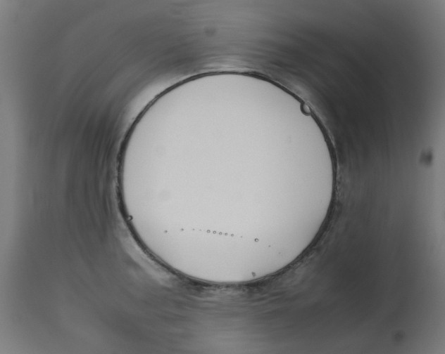 X0000113211187200910081309