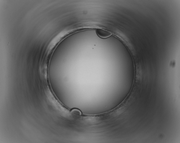 X0000113211188200910081309