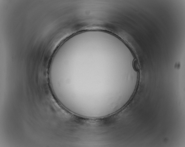 X0000113211189200910081309