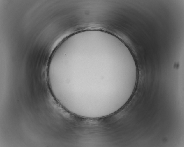 X0000113211190200910081309