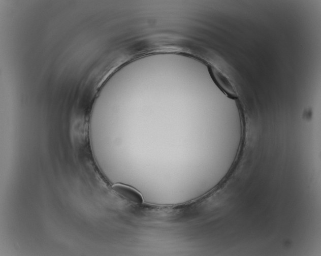 X0000113211193200910081309