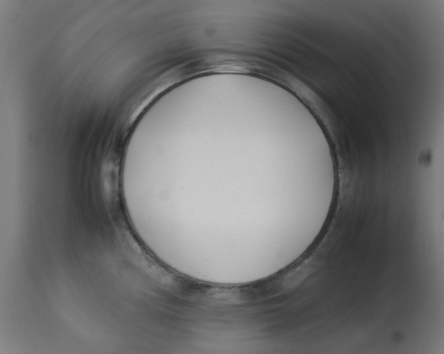 X0000113211194200910081309