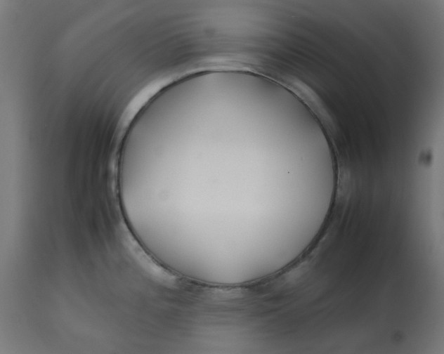 X0000113211196200910081309