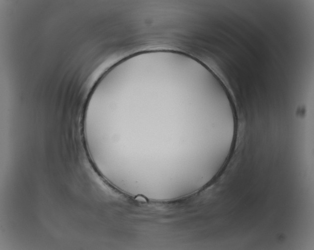 X0000113211197200910081309