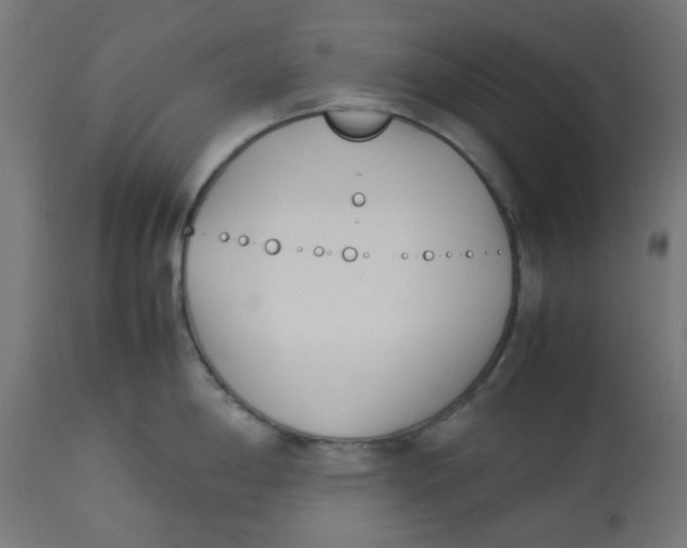 X0000113211198200910081309