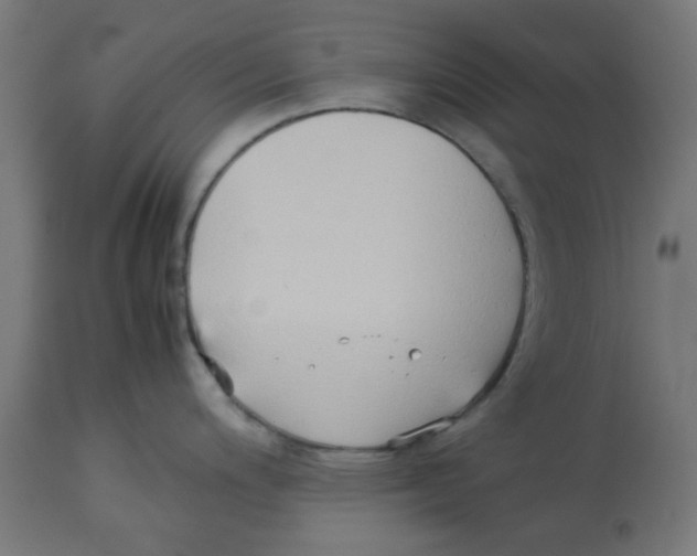 X0000113211200200910081309