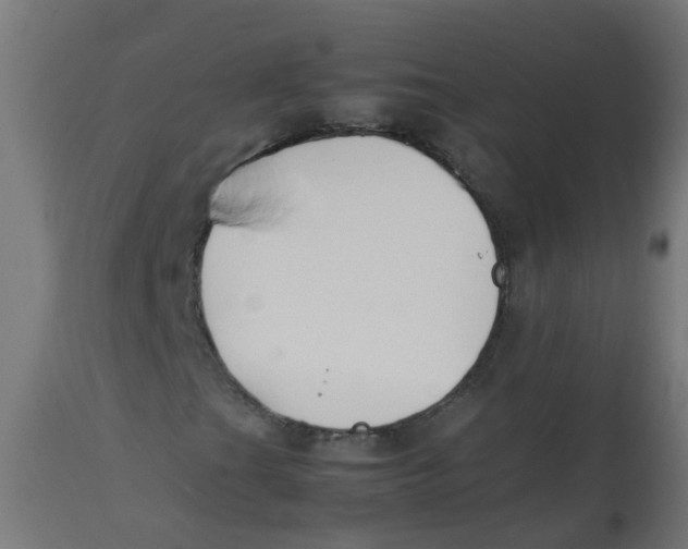 X0000113211201200910081308