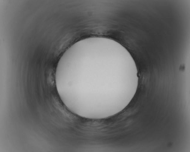 X0000113211202200910081308