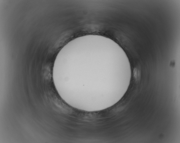 X0000113211203200910081308