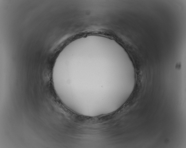 X0000113211206200910081308