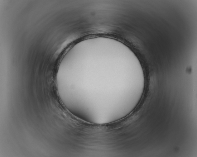 X0000113211210200910081308