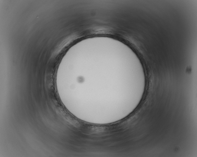 X0000113211211200910081308