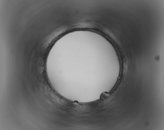 X0000113211213200910081308