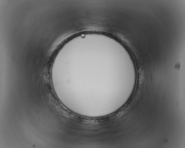 X0000113211215200910081308