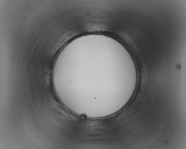 X0000113211217200910081308