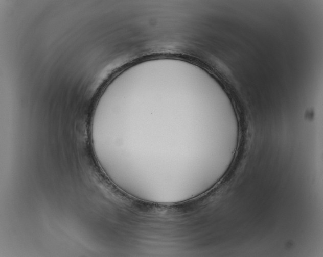 X0000113211218200910081308