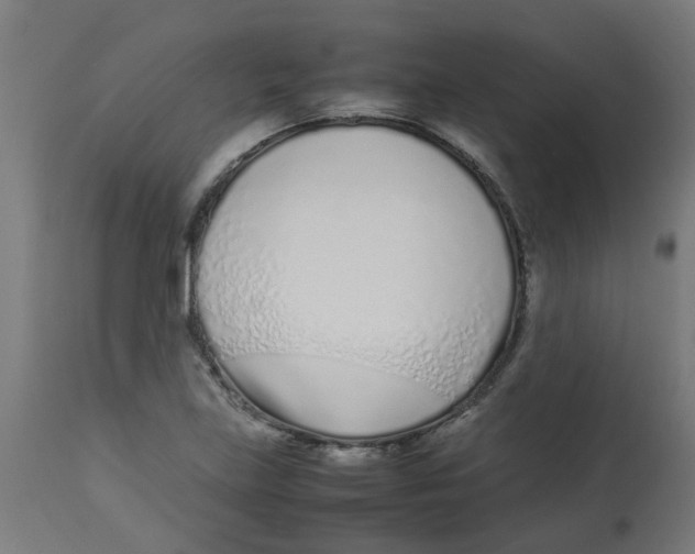 X0000113211219200910081308