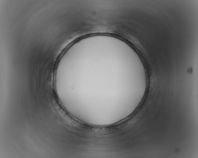 X0000113211220200910081308