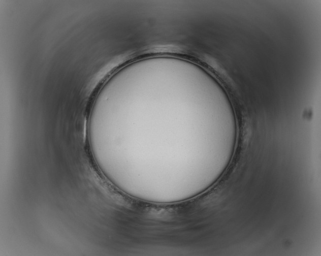 X0000113211221200910081308