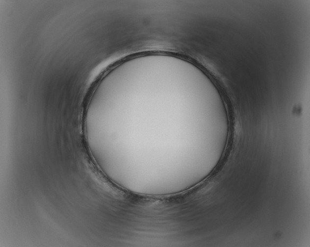 X0000113211222200910081308