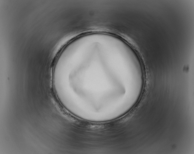 X0000113211223200910081308