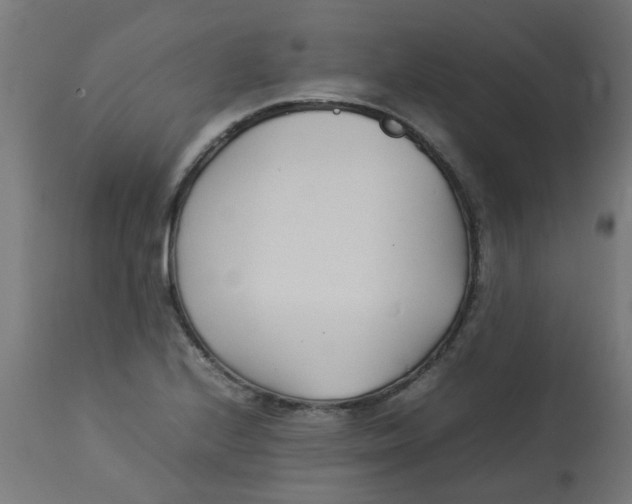 X0000113211224200910081308