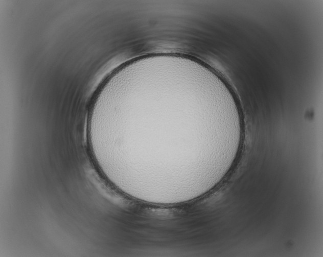 X0000113211227200910081308