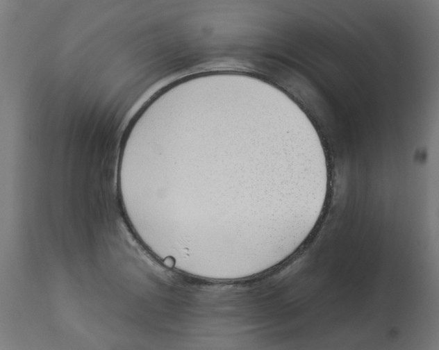 X0000113211228200910081308