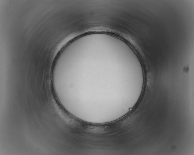 X0000113211229200910081308