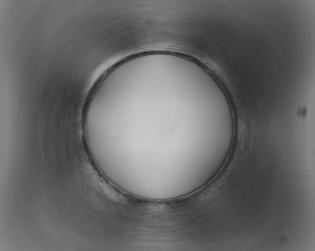 X0000113211230200910081308