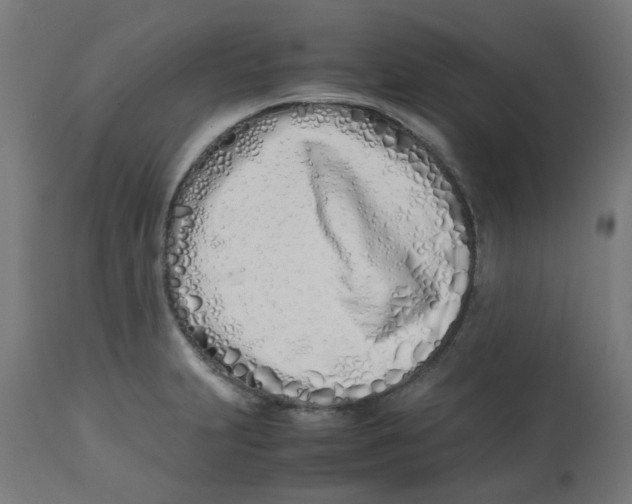 X0000113211231200910081308