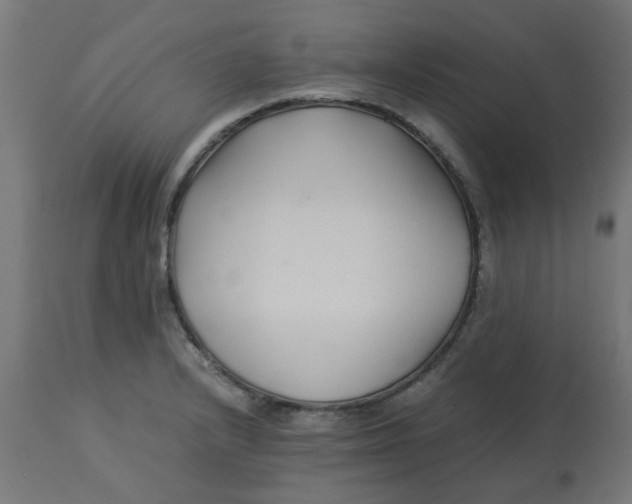 X0000113211232200910081308