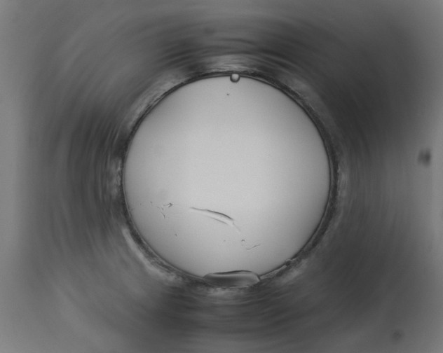 X0000113211233200910081308