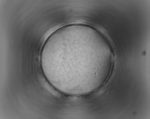 X0000113211234200910081308