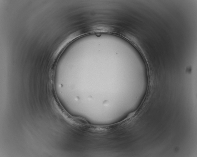 X0000113211235200910081308