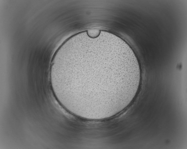 X0000113211236200910081308