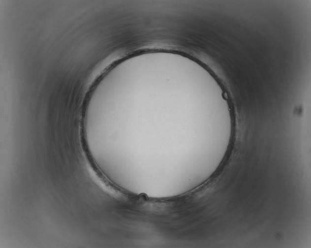 X0000113211237200910081308